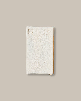 Terra Ceramic Finishes